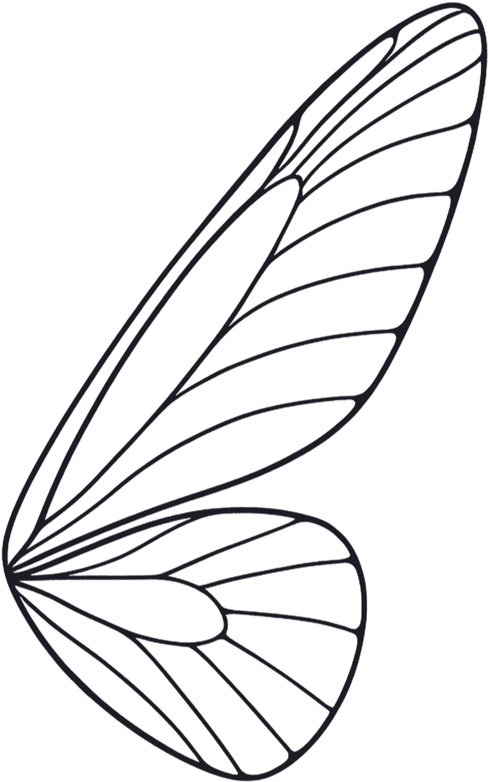 Comflyant wing mark
